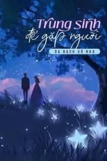Trùng Sinh Để Gặp Người - Truyện Chữ